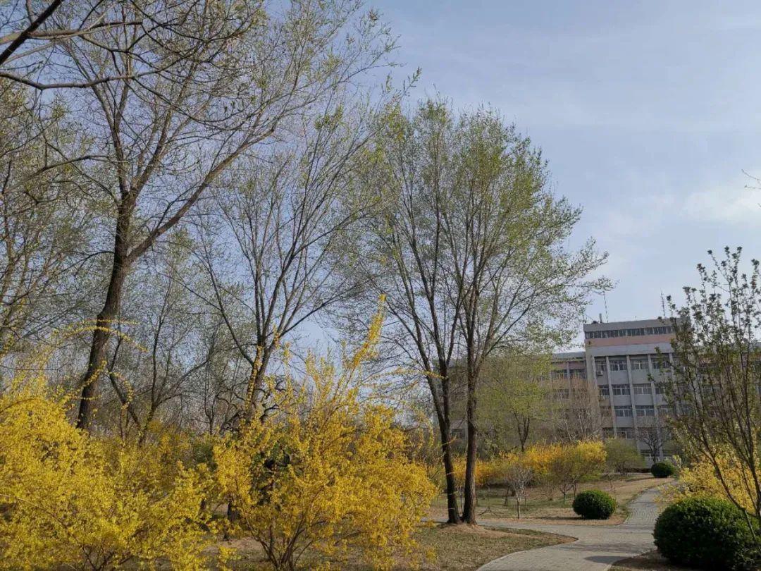 廊坊地域文化与发展概览